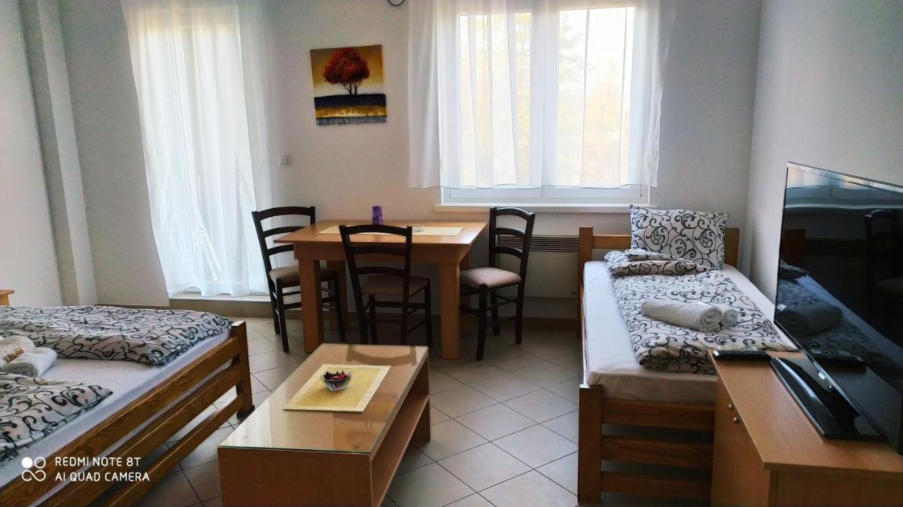 Apartmani - Vila Kovilje Banja Koviljača Екстериор снимка