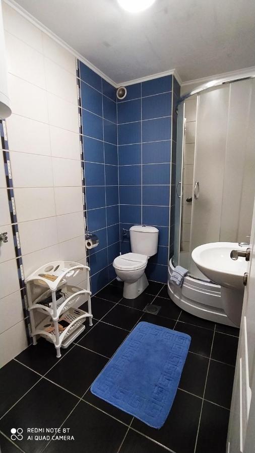Apartmani - Vila Kovilje Banja Koviljača Екстериор снимка