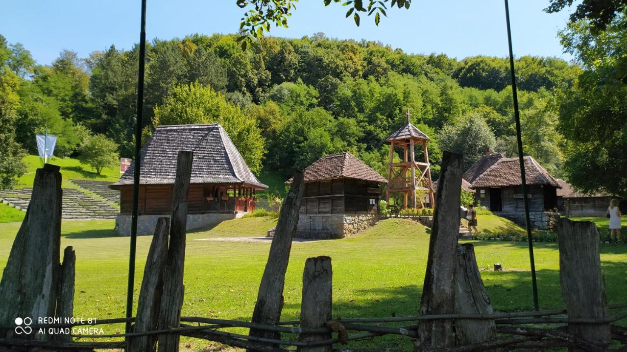 Apartmani - Vila Kovilje Banja Koviljača Екстериор снимка