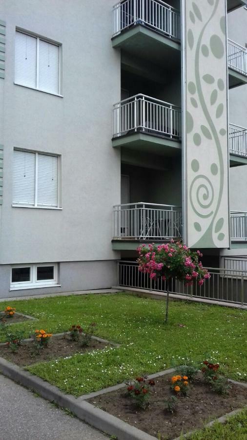 Apartmani - Vila Kovilje Banja Koviljača Екстериор снимка
