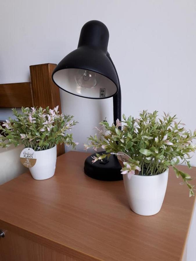 Apartmani - Vila Kovilje Banja Koviljača Екстериор снимка