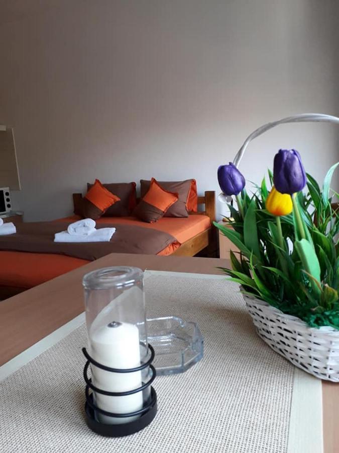 Apartmani - Vila Kovilje Banja Koviljača Екстериор снимка